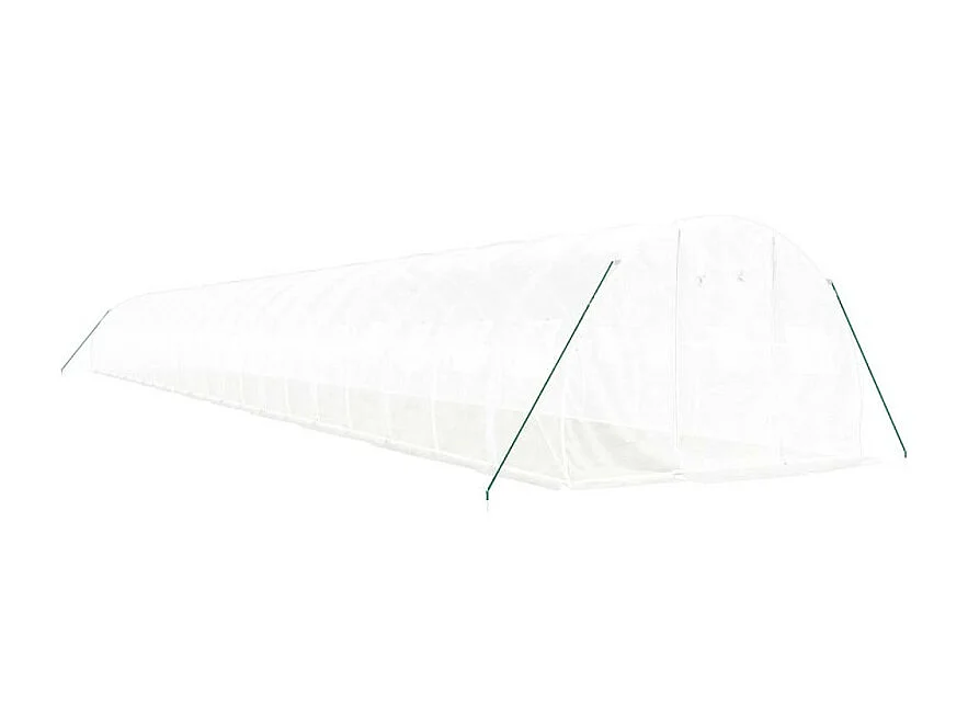 Gewächshaus mit Stahlrahmen Weiß 66 m² 22x3x2 m