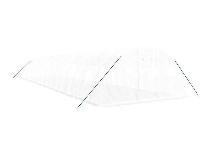 Gewächshaus mit Stahlrahmen Weiß 64 m² 16x4x2 m