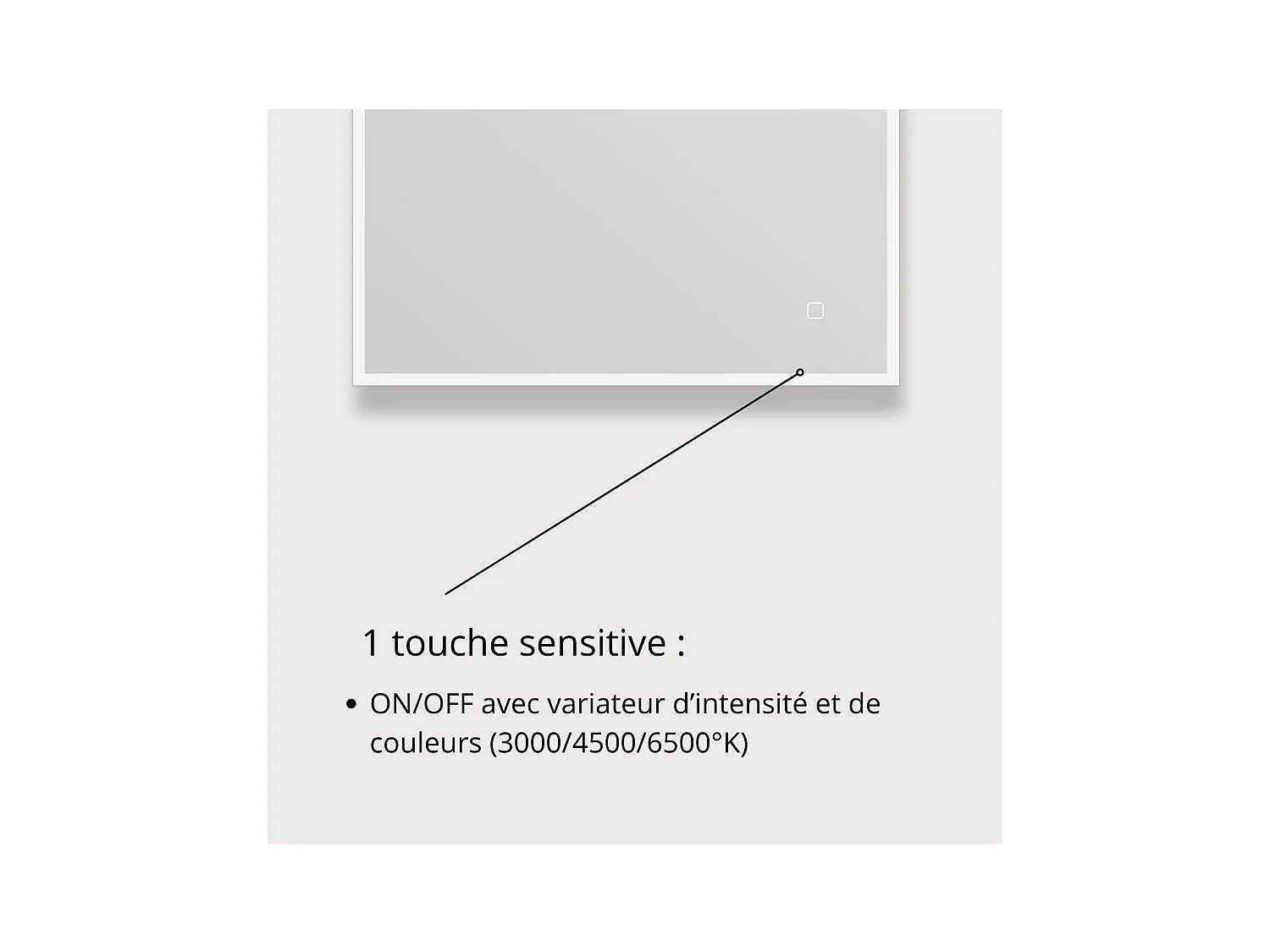 Rechthoekige LED-spiegel L60/80cm met verlicht frame ECLIPS