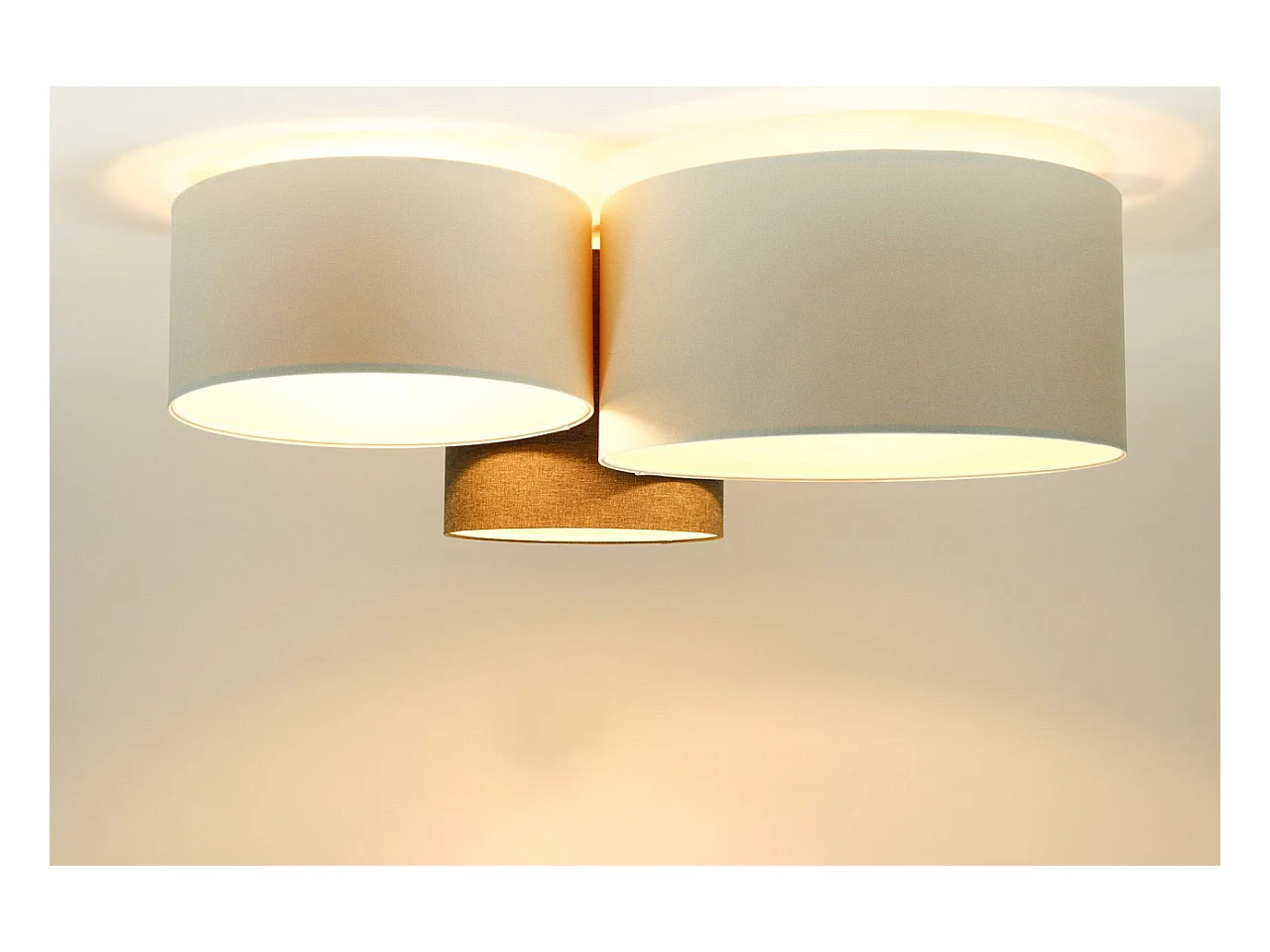 Plafonnier Trio BOHO ELEGANT