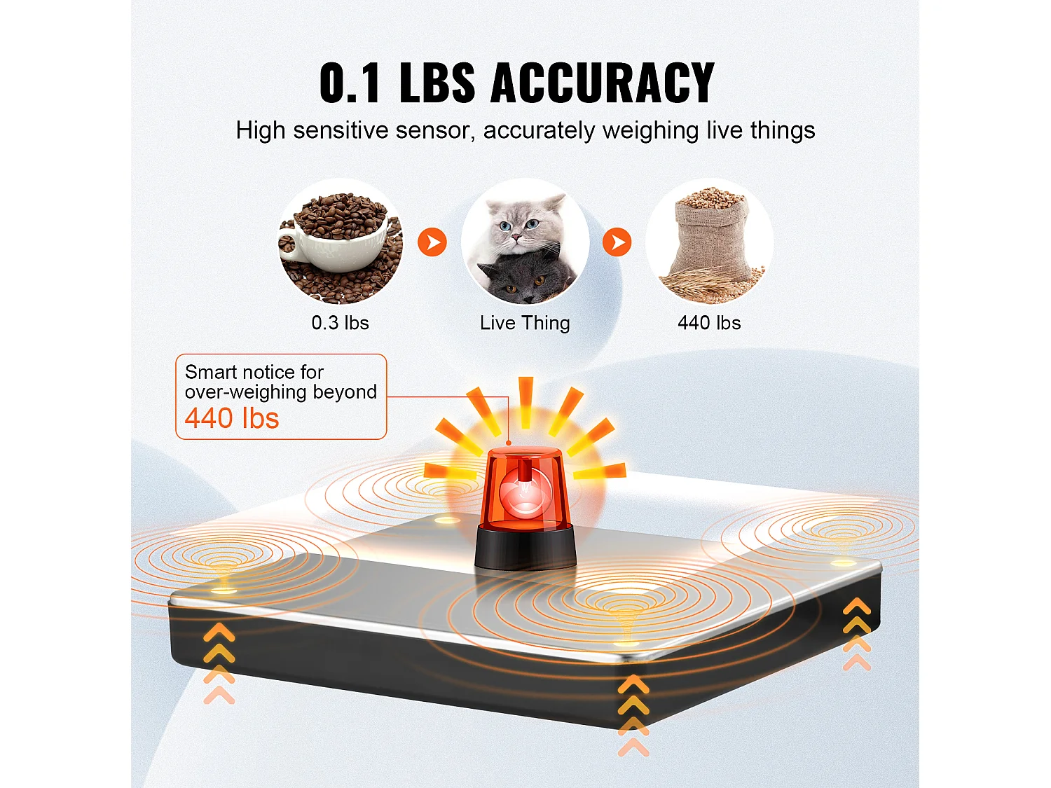 Balance d'Expédition Numérique SucceBuy 200 kg x 50 g, pour Bagages Maison Bureau de Poste Alimentation CA/CC