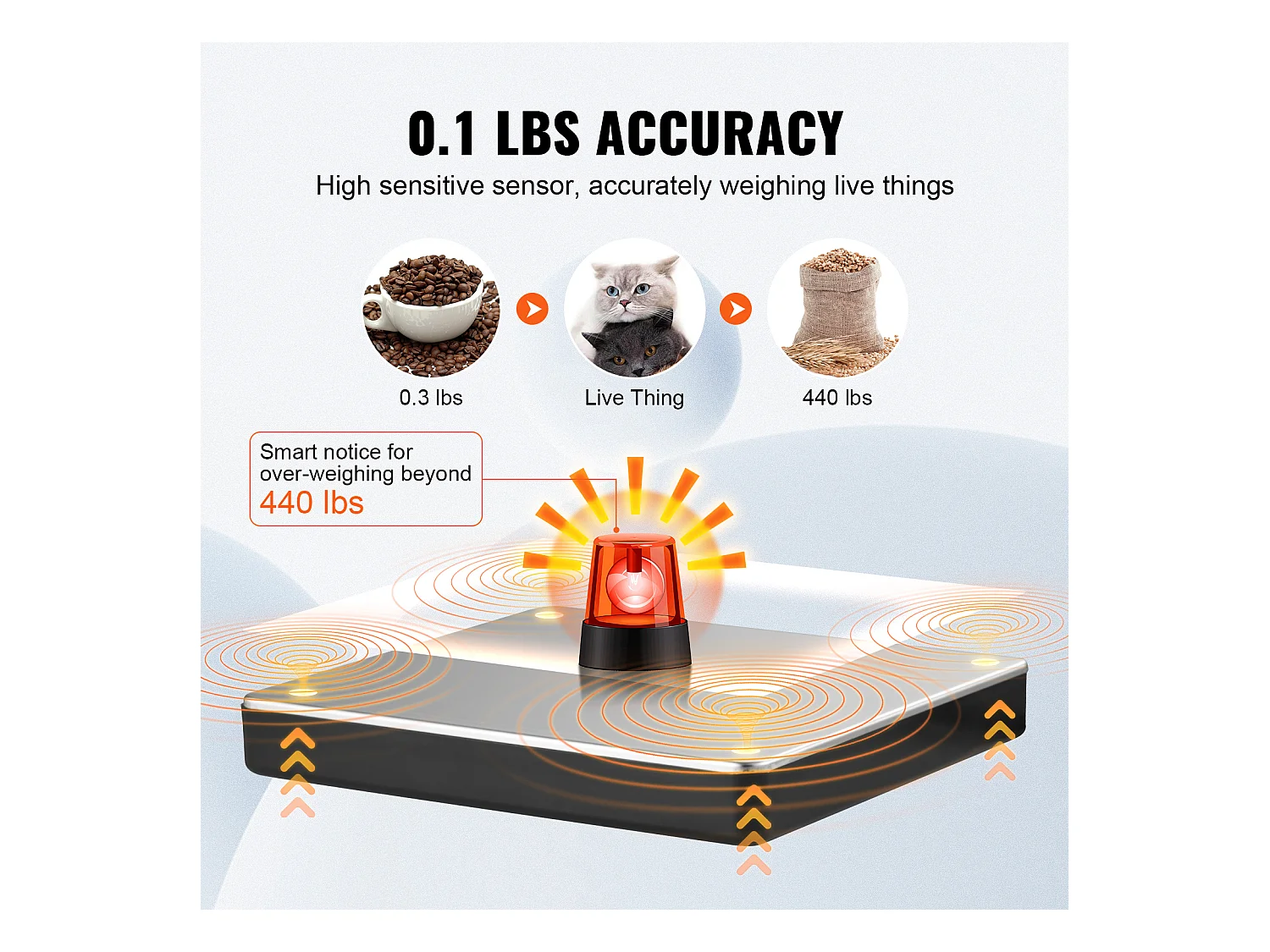 Balance d'Expédition Numérique SucceBuy 200 kg x 50 g, pour Bagages Maison Bureau de Poste Alimentation CA/CC