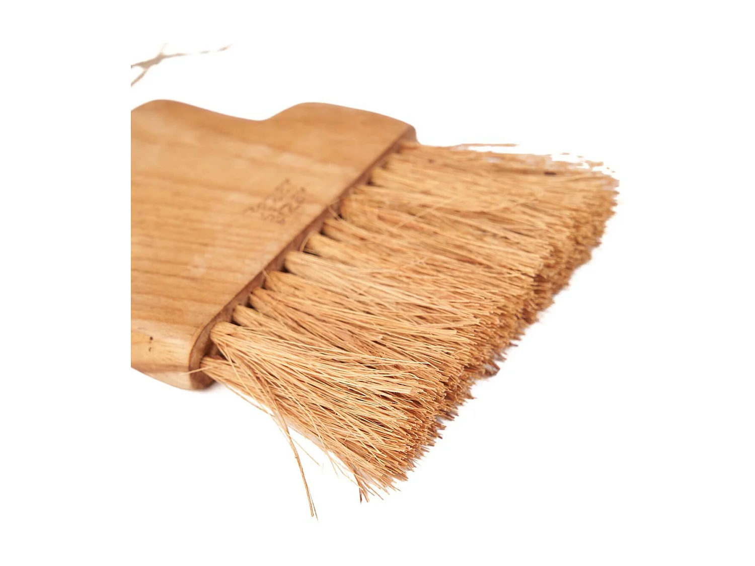 La Brosse Osta - Naturel