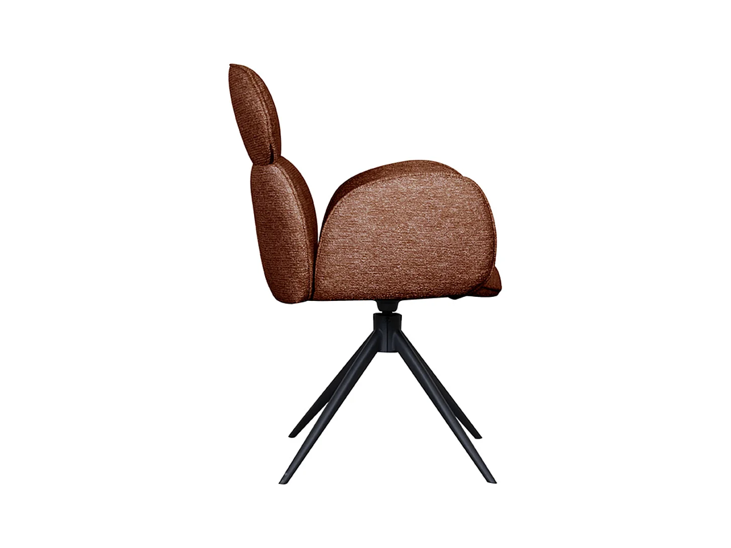 Chaise de salle à manger Vidar - Terra - Boucle - lot de 2