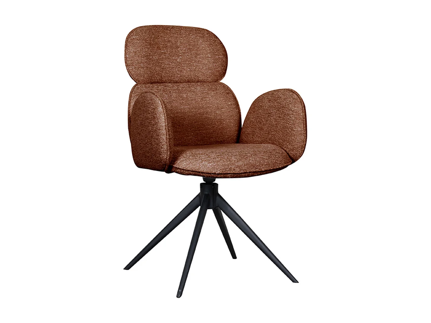 Chaise de salle à manger Vidar - Terra - Boucle - lot de 2