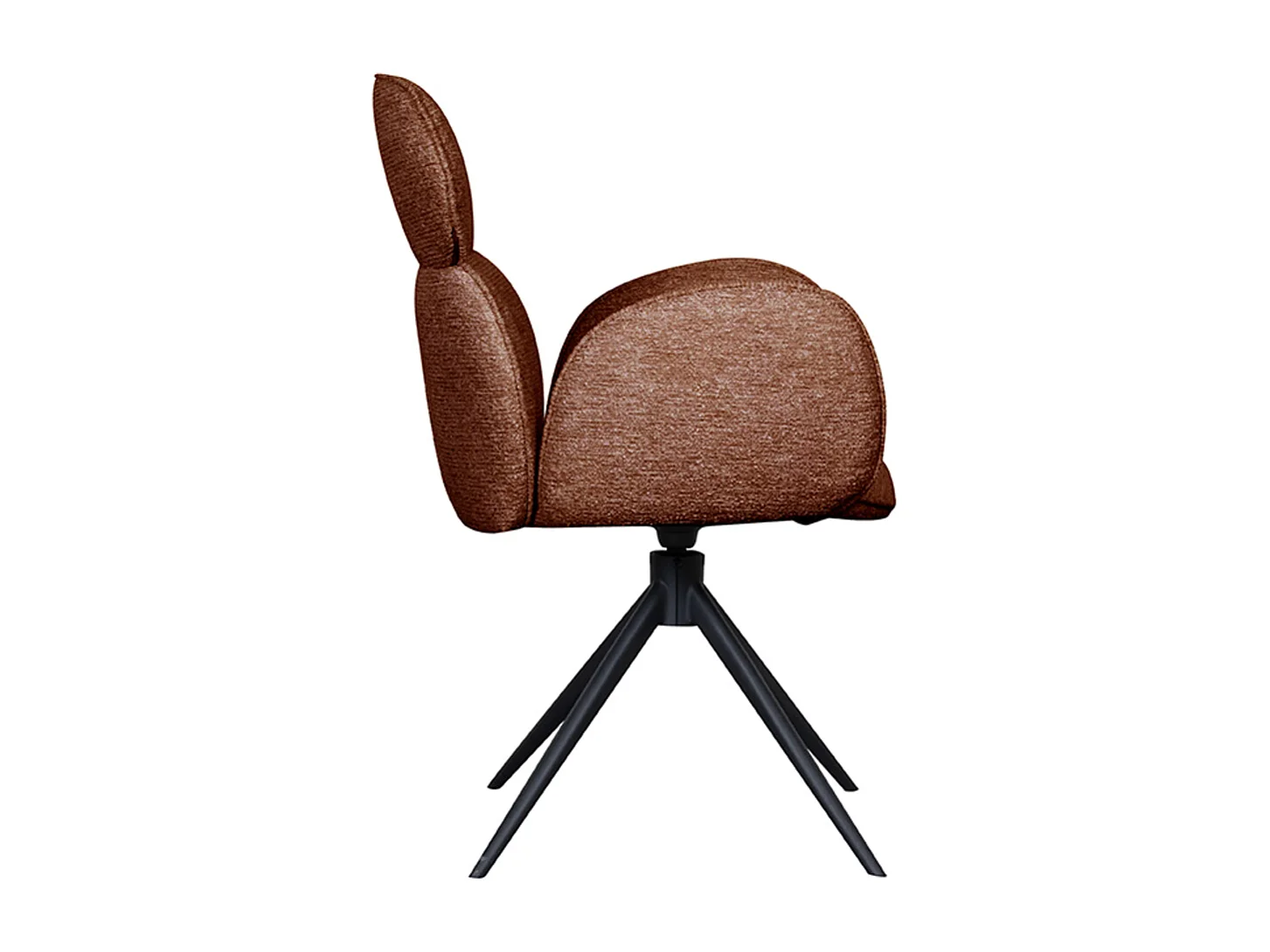 Chaise de salle à manger Vidar - Terra - Boucle - lot de 2