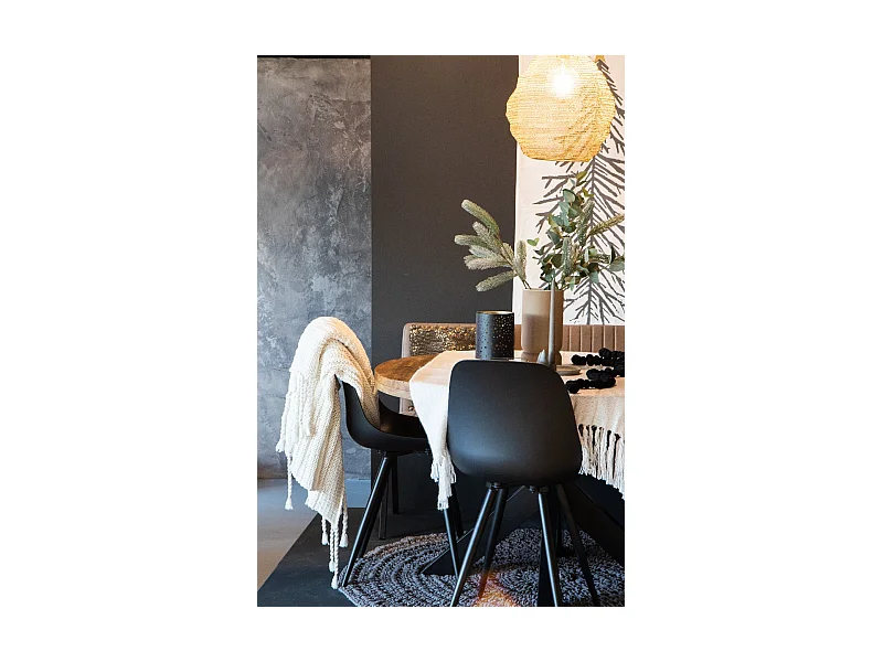 Chaise de salle à manger Monza - Noir - Plastique - Lot de 2