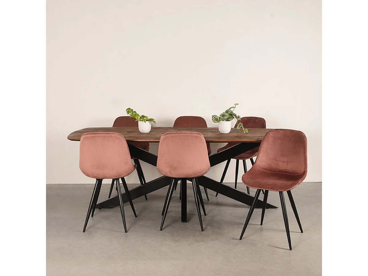 Esstisch Zane - Espresso - 220x100x76 cm