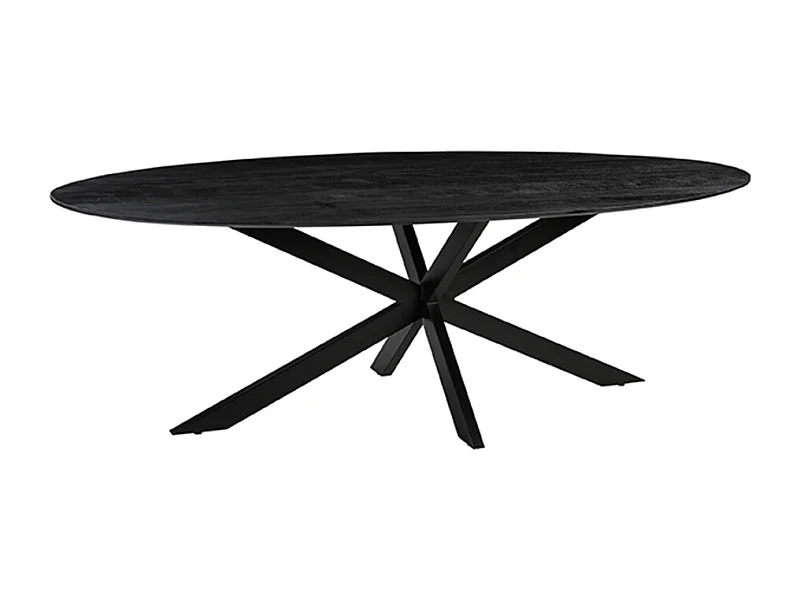 Eetkamertafel James - Zwart - Mangohout - 210 cm - Ovaal