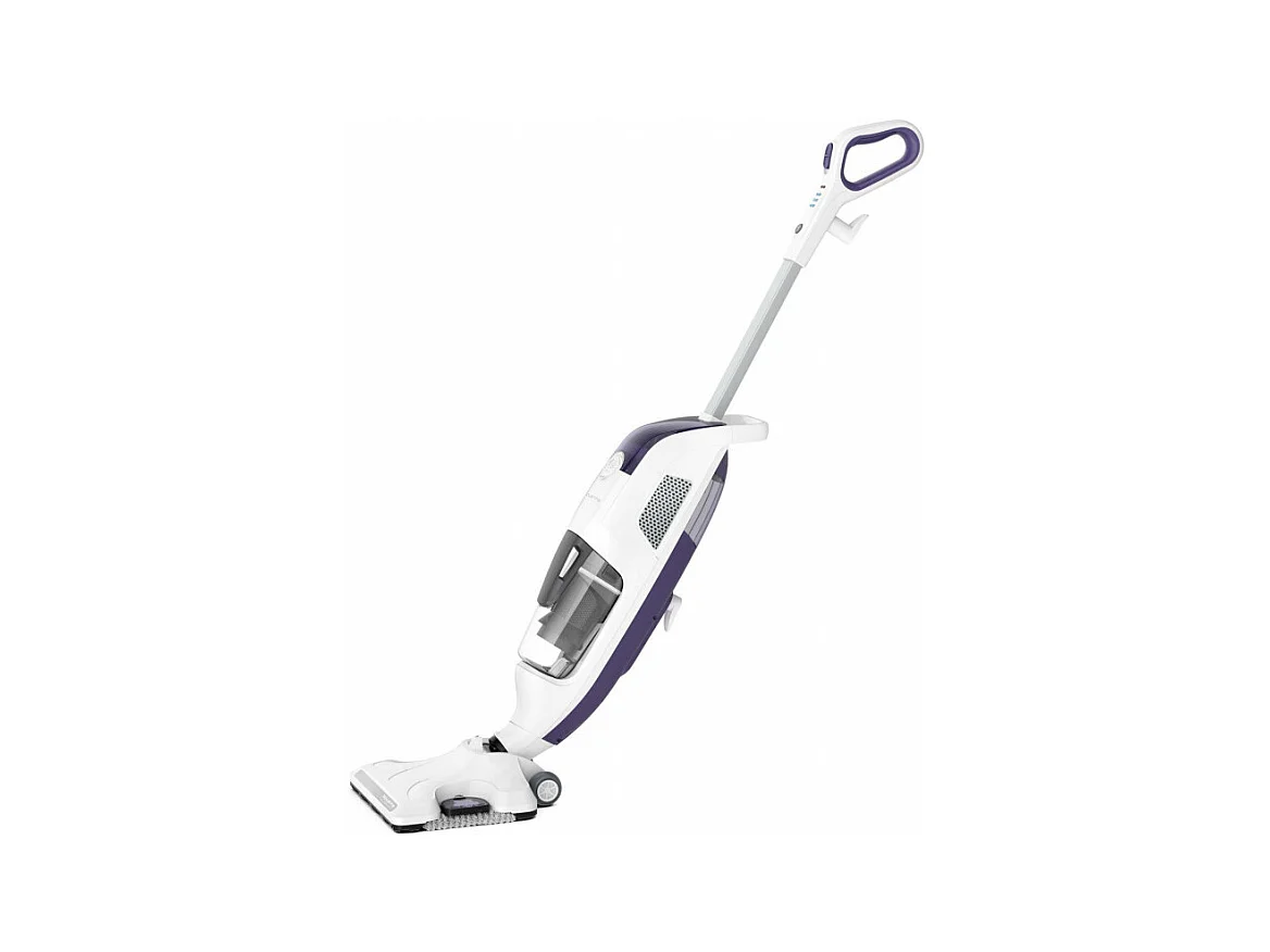 Balai vapeur ROWENTA RY 7731 WH