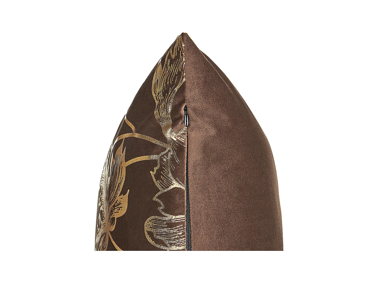 Lot de 2 coussins décoratifs DAFFODIL Velours 45 x 45 cm Marron Motif floral