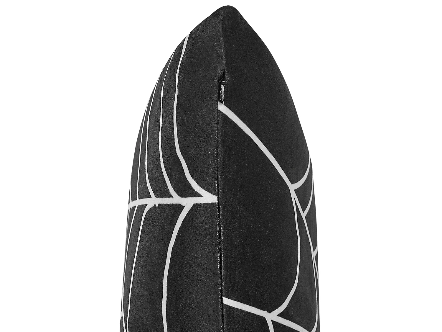 Throw Cushion LYCORIS Velvet 45 x 45 cm Black Abstract Pattern