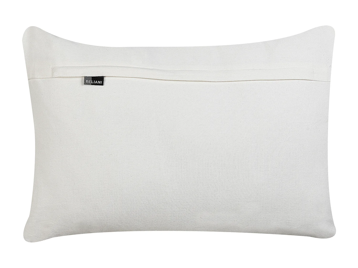 Lot de 2 coussins décoratifs DANAPUR Coton 40 x 60 cm Multicolore Motif géométrique