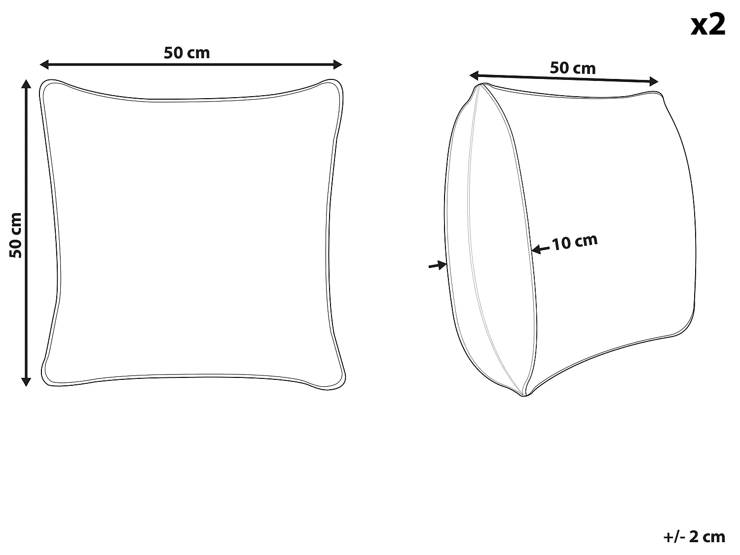 Lot de 2 coussins décoratifs BAHRAICH Coton 50 x 50 cm Multicolore Motif floral