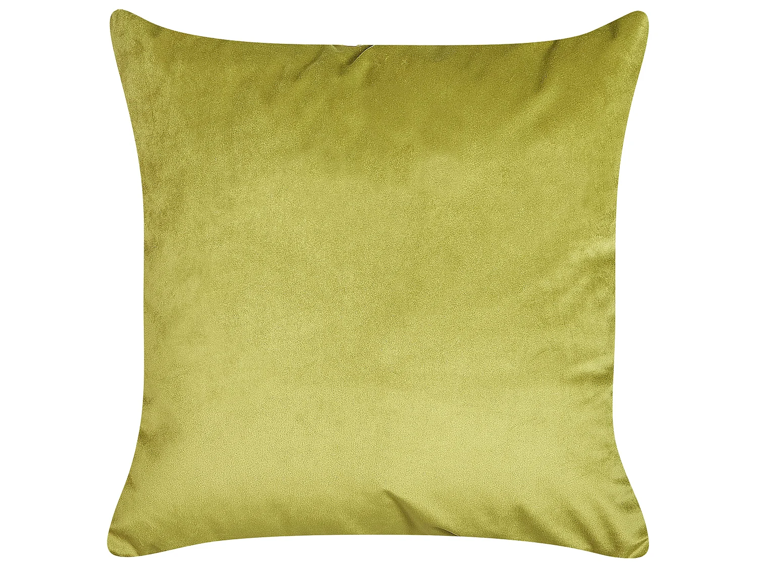 Lot de 2 coussins décoratifs AEONIUM Velours 45 x 45 cm Vert olive Motif abstrait
