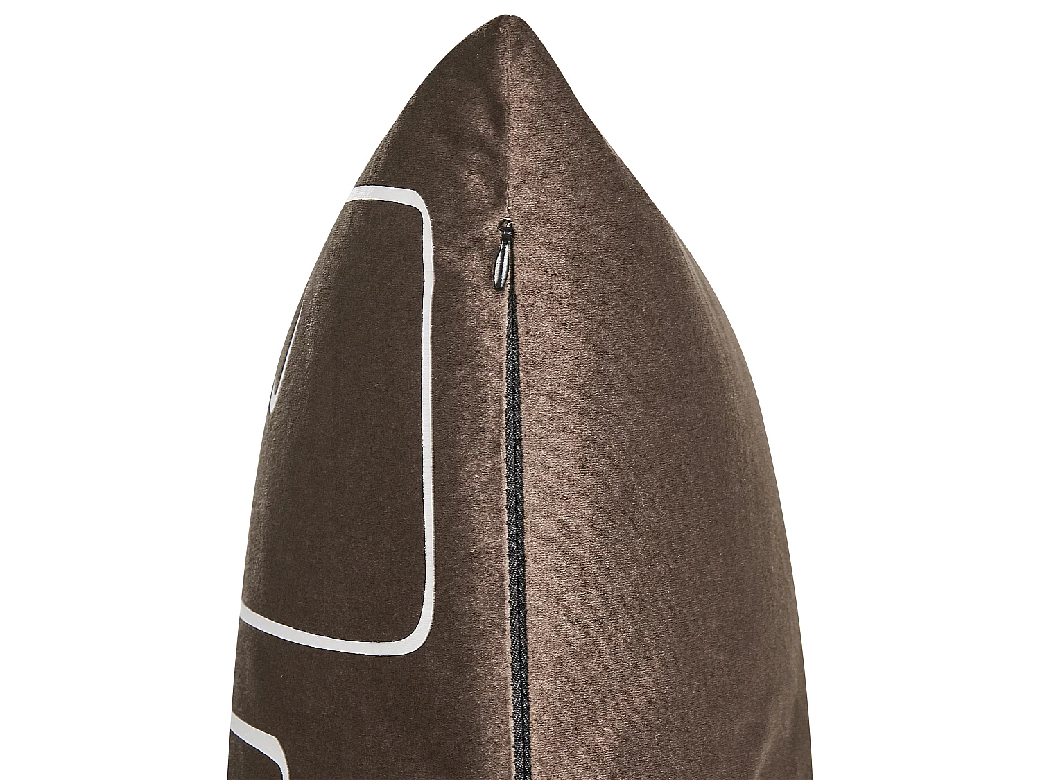 Lot de 2 coussins décoratifs PHILODENDRON Velours 45 x 45 cm Marron Motif abstrait