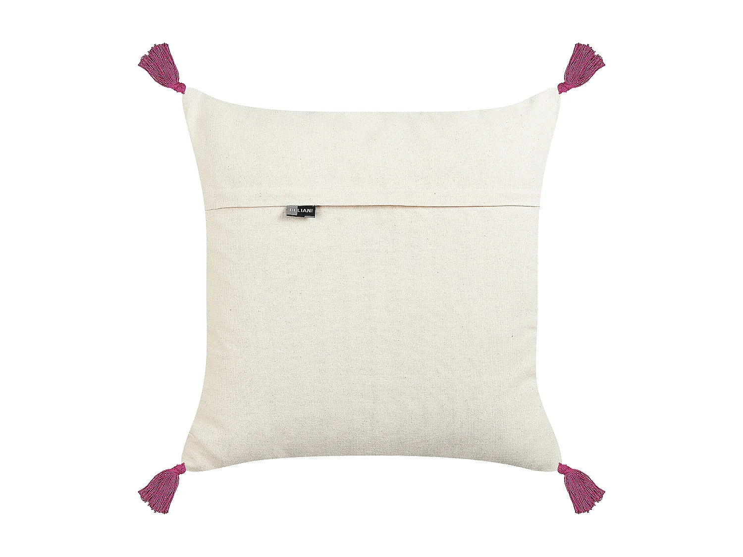 Lot de 2 coussins décoratifs RAIGANJ Coton 50 x 50 cm Multicolore Motif abstrait