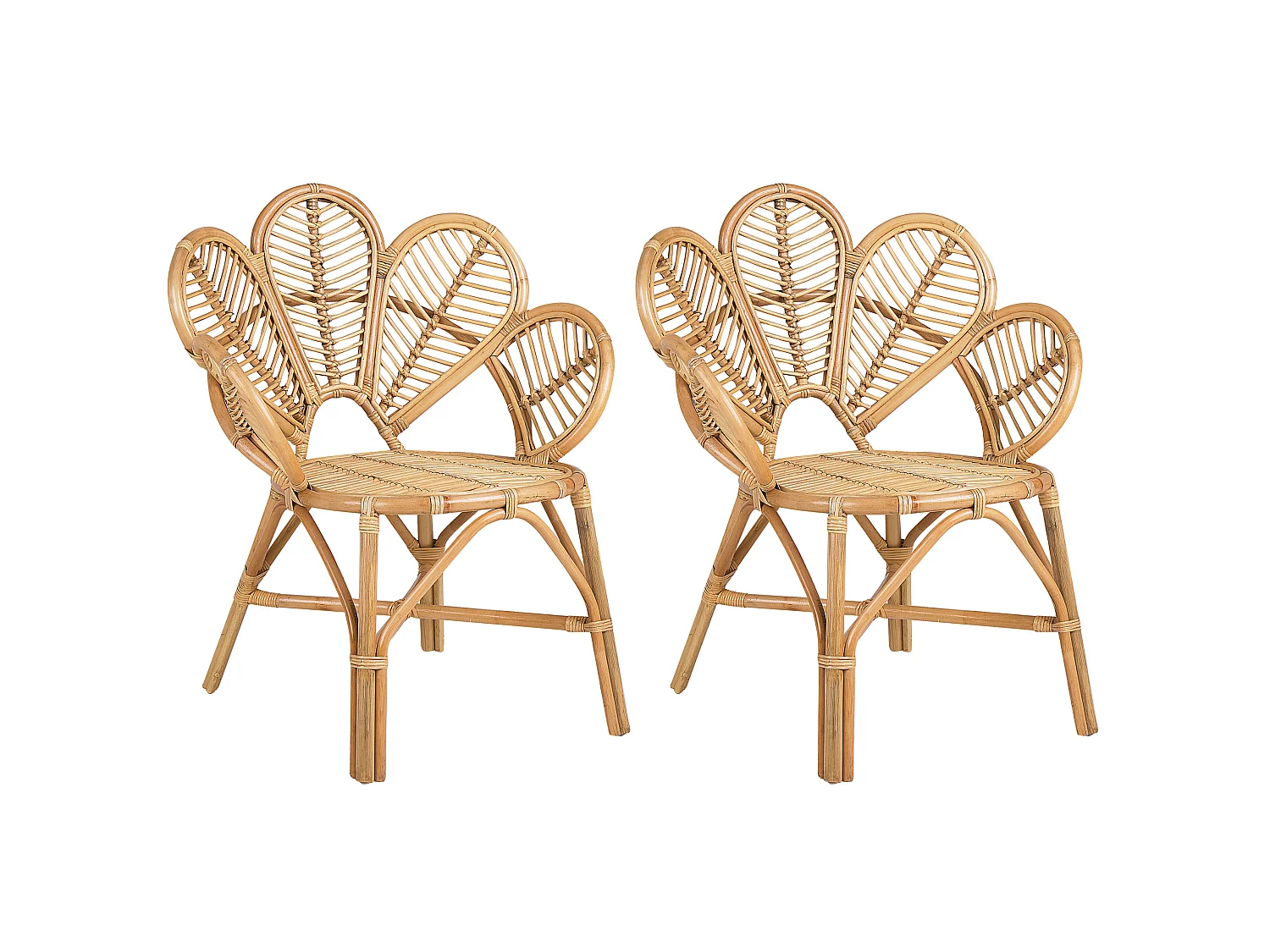 Lot de 2 chaises paon FLORENTINE II Rotin Naturel