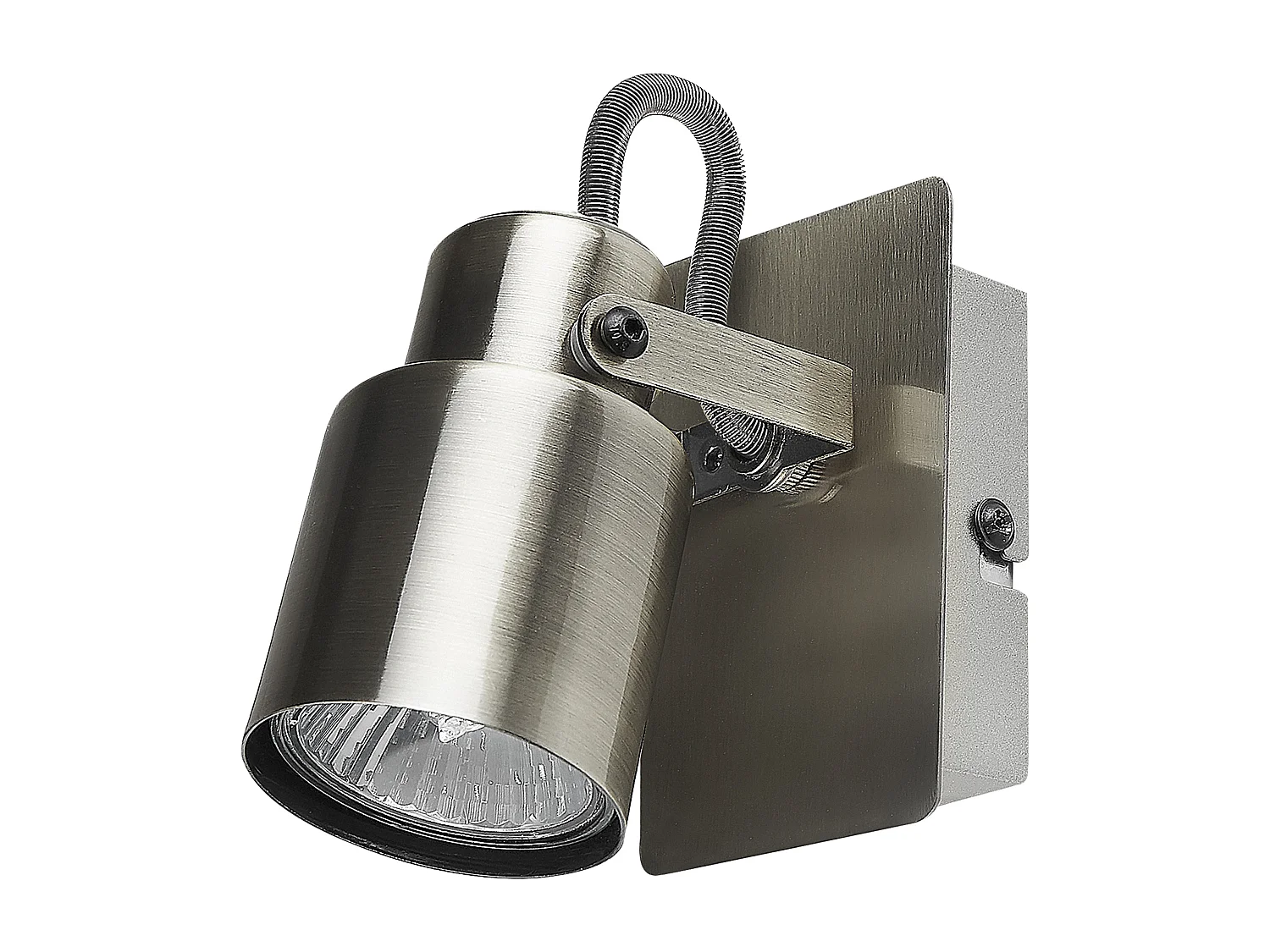 Lot de 2 spots BONTE Réglable Métal Argenté