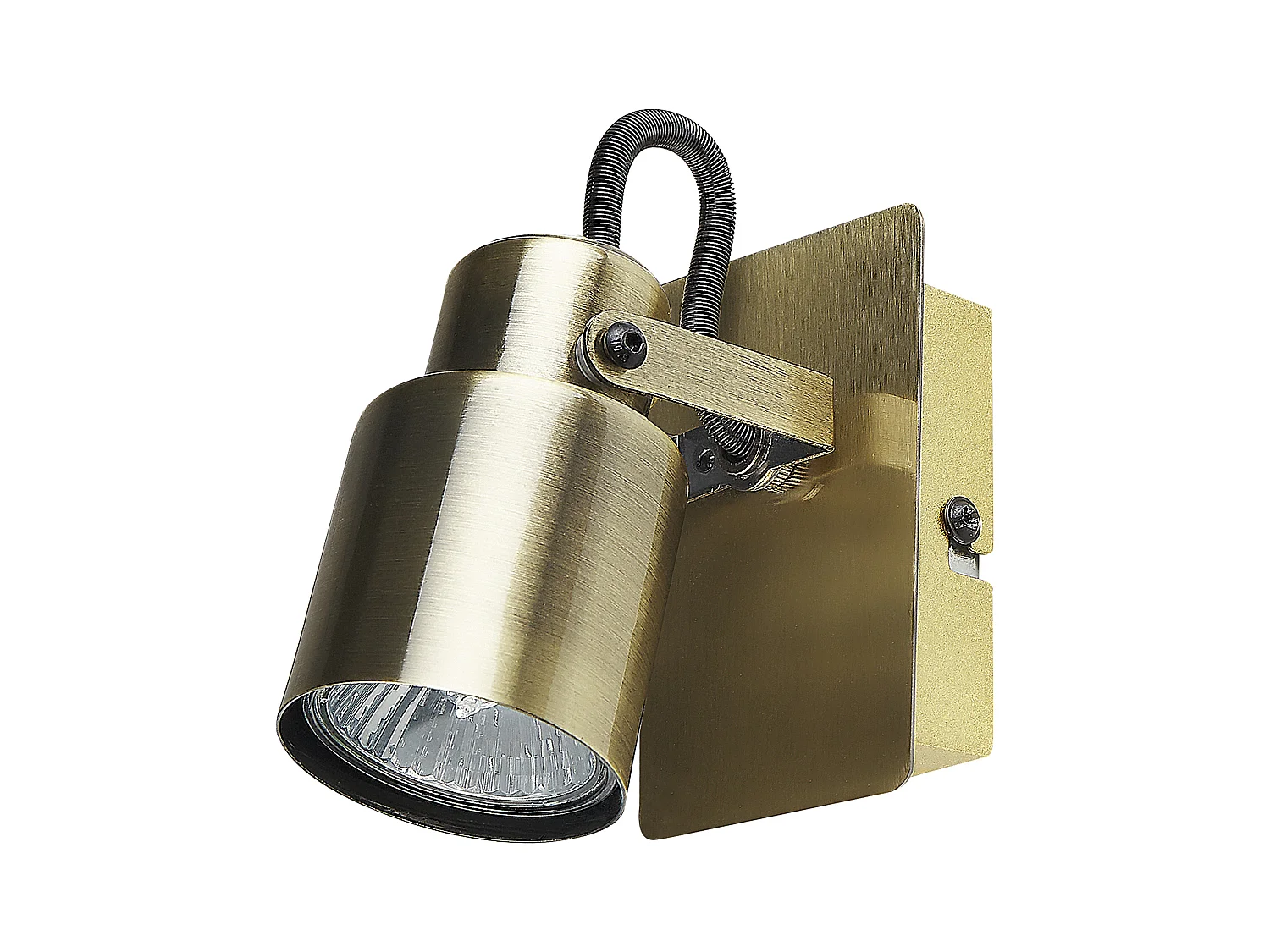 Lot de 2 spots BONTE Réglable Métal Laiton