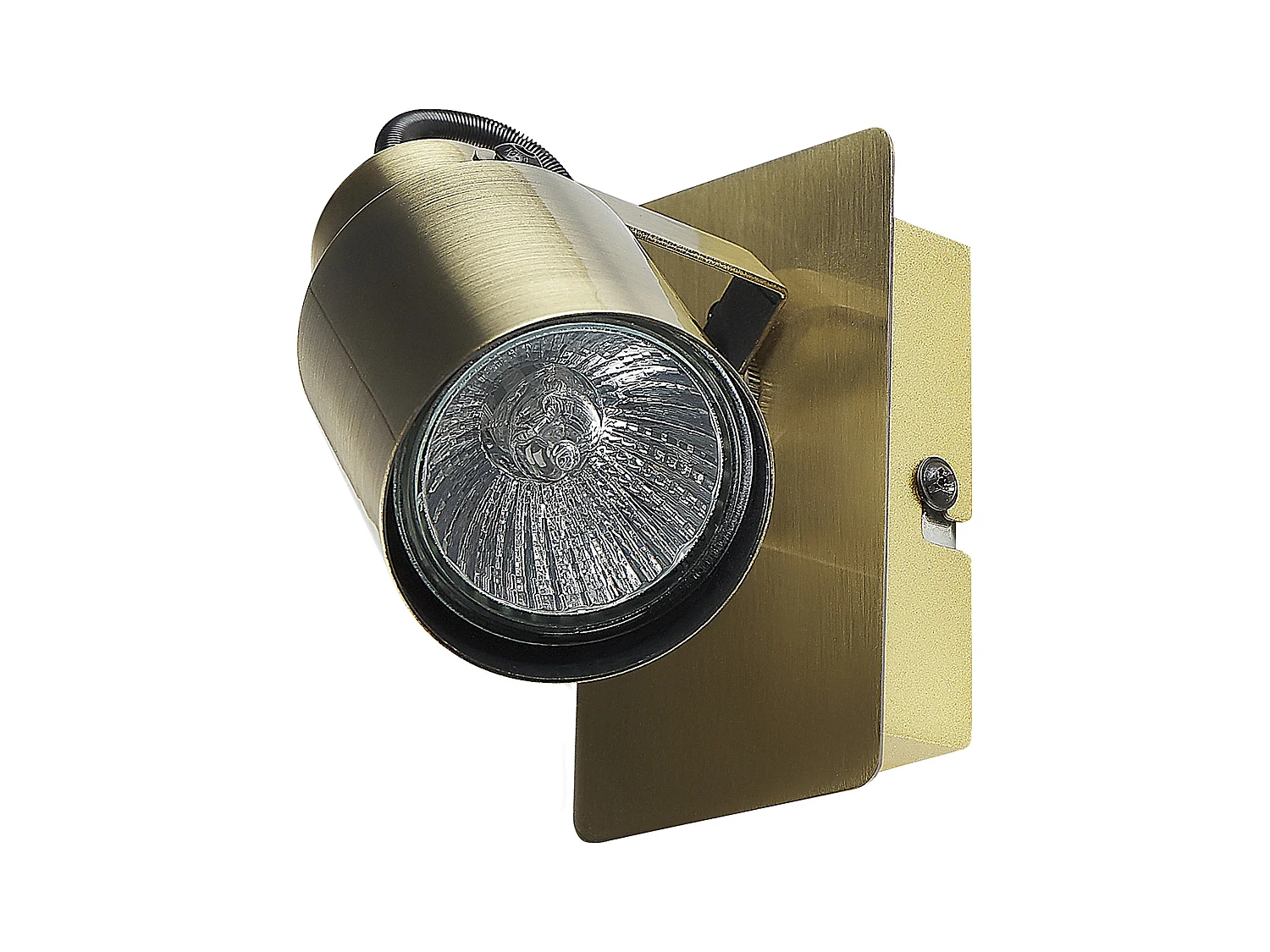 Lot de 2 spots BONTE Réglable Métal Laiton