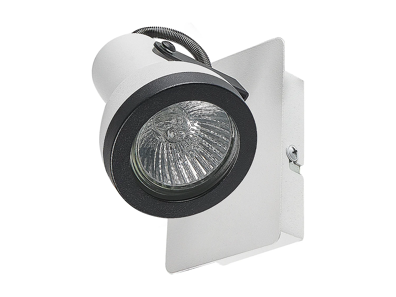 Lot de 2 spots BARO Réglable Métal Blanc