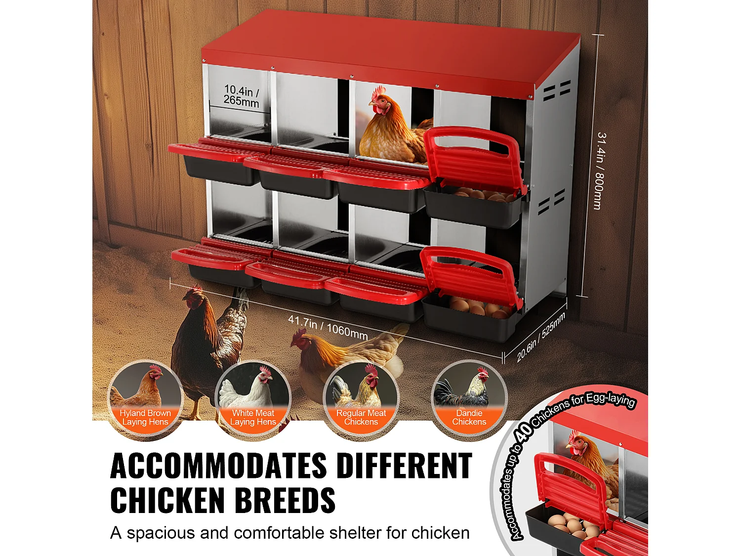 Nido para Gallinas SucceBuy de 8 Compartimentos, Caja Metálica con Diseño Inclinado