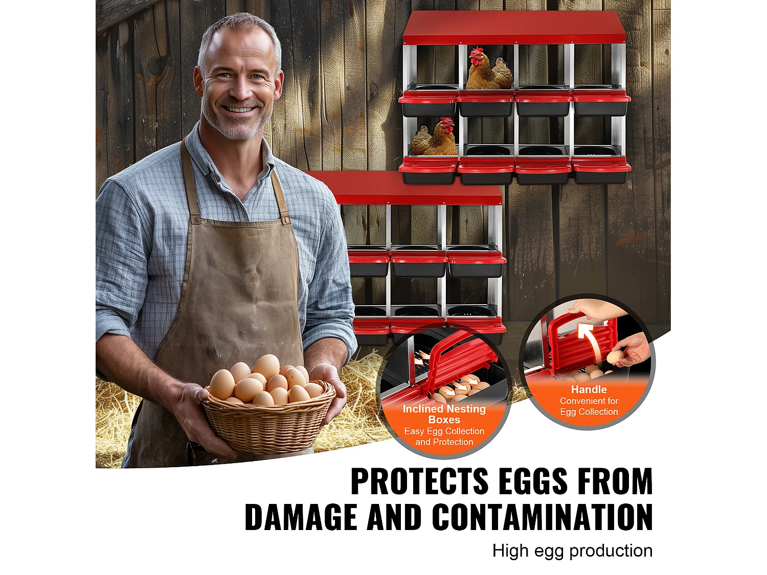 Nido para Gallinas SucceBuy de 8 Compartimentos, Caja Metálica con Diseño Inclinado