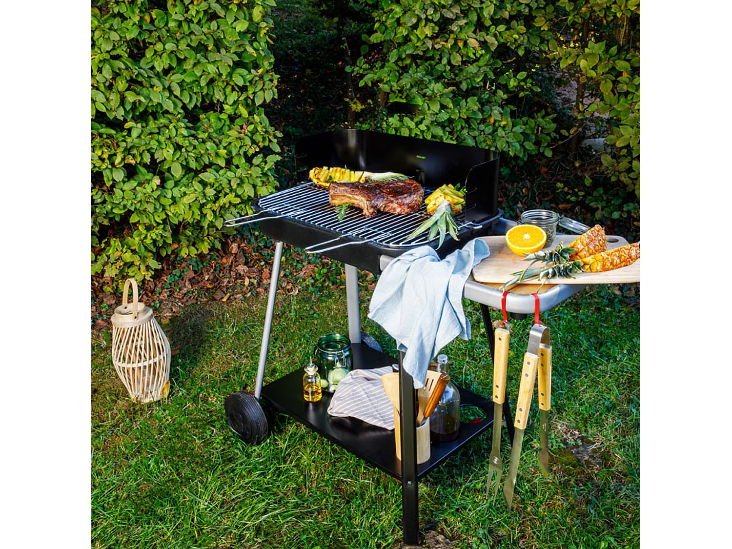 Barbecue a carbonella VULCANO 2300