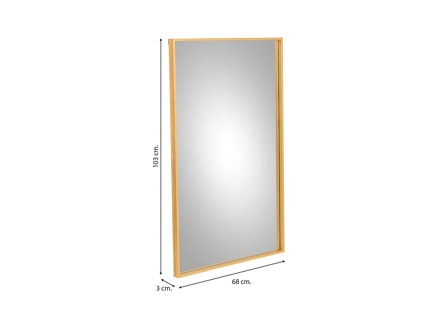 Espelho de parede retangular 68x103x03h cm