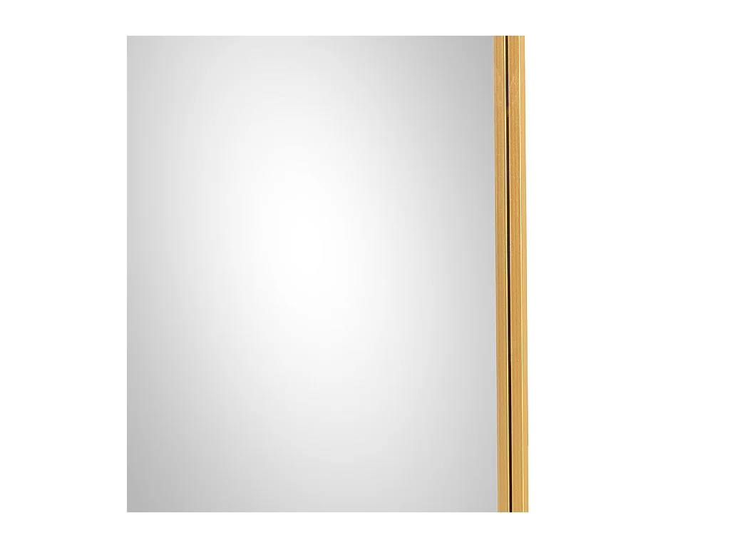 Espelho de parede retangular 68x103x03h cm