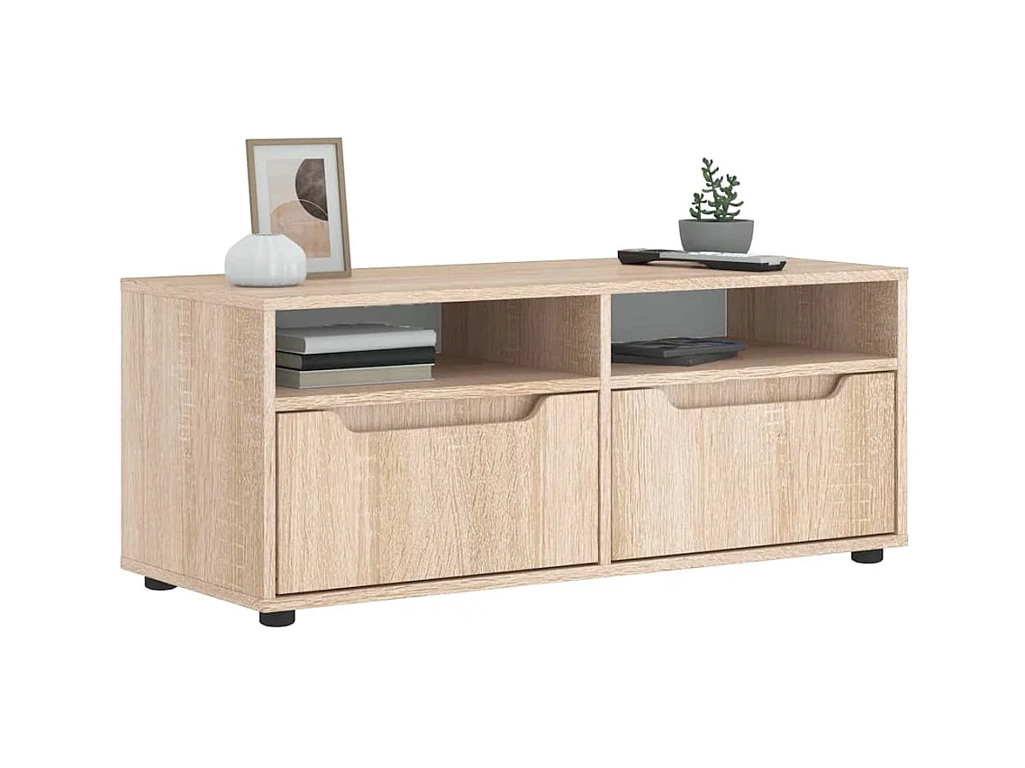 Mebel TV VISNES Dąb Sonoma 100x40x38 cm Drewno Inżynieryjne z Przechowywaniem i Montażem na Ścianie