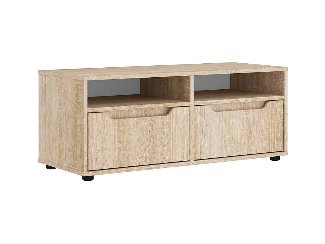 Mebel TV VISNES Dąb Sonoma 100x40x38 cm Drewno Inżynieryjne z Przechowywaniem i Montażem na Ścianie
