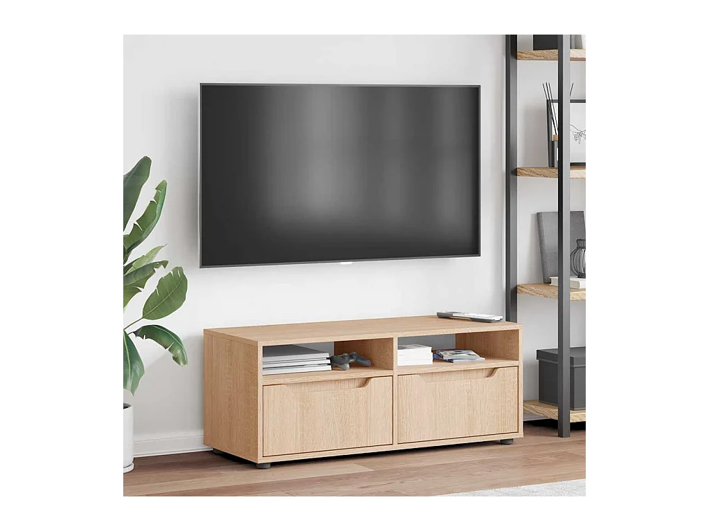 Mebel TV VISNES Dąb Sonoma 100x40x38 cm Drewno Inżynieryjne z Przechowywaniem i Montażem na Ścianie