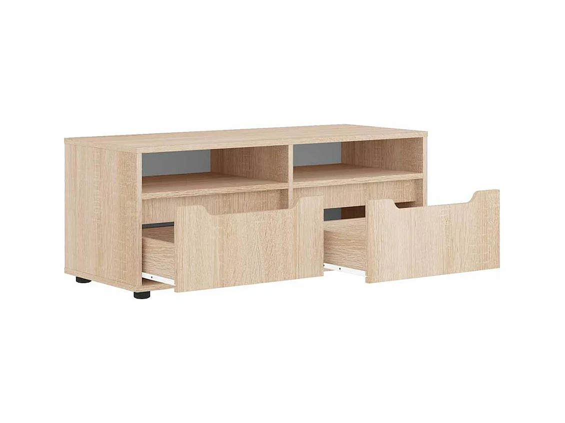 Mebel TV VISNES Dąb Sonoma 100x40x38 cm Drewno Inżynieryjne z Przechowywaniem i Montażem na Ścianie