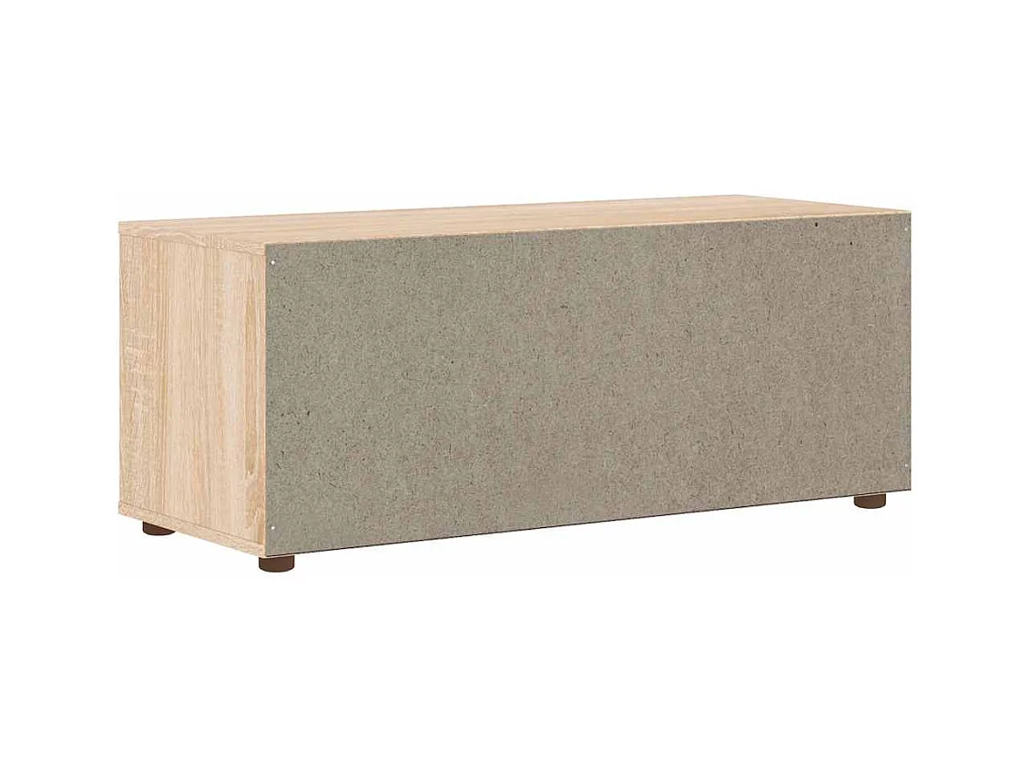 Mebel TV VISNES Dąb Sonoma 100x40x38 cm Drewno Inżynieryjne z Przechowywaniem i Montażem na Ścianie