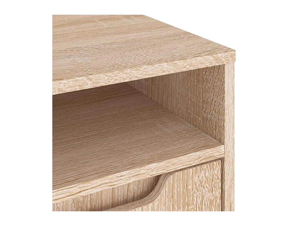 Mebel TV VISNES Dąb Sonoma 100x40x38 cm Drewno Inżynieryjne z Przechowywaniem i Montażem na Ścianie