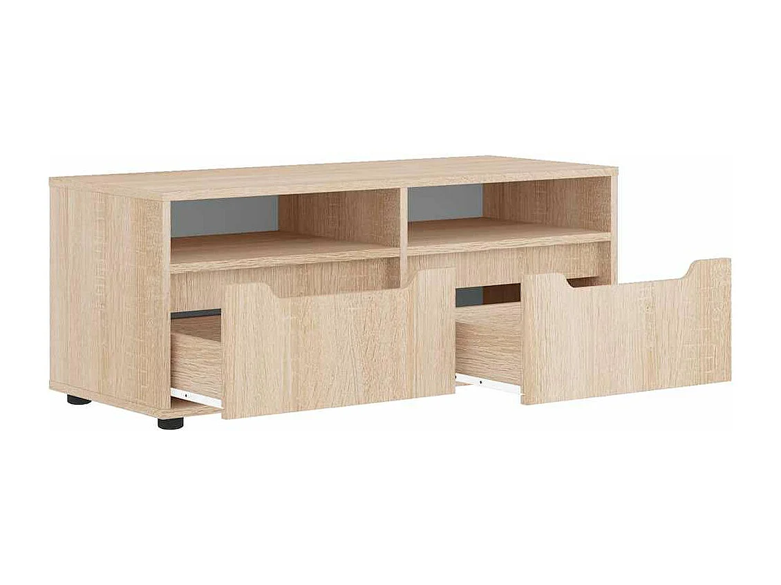 Meuble TV VISNES chêne sonoma 100x40x38 cm bois d'ingénierie