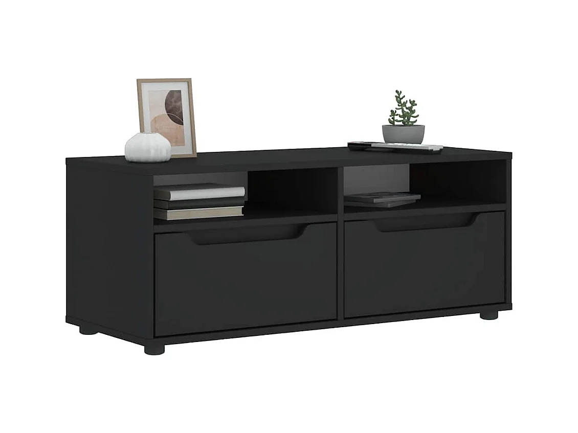 Mebel TV VISNES czarny 100x40x38 cm z 2 szufladami i 2 półkami