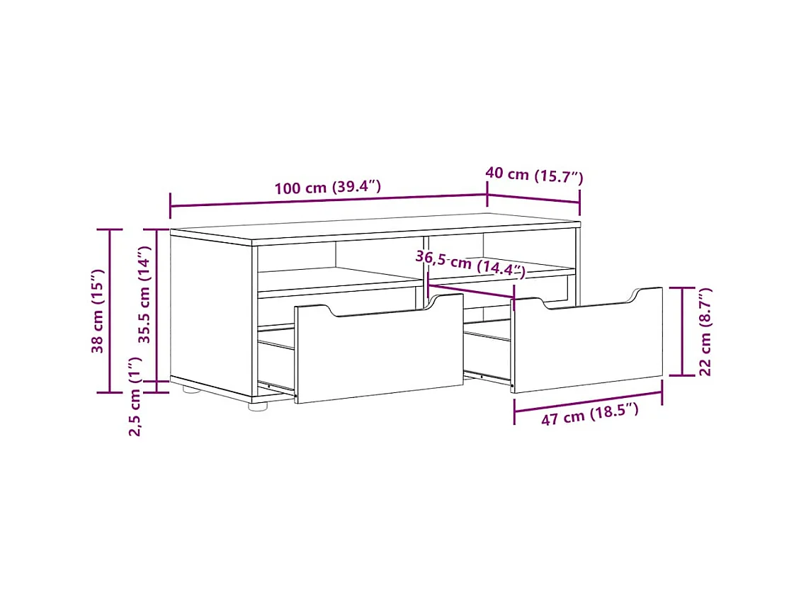 Mebel TV VISNES czarny 100x40x38 cm z 2 szufladami i 2 półkami