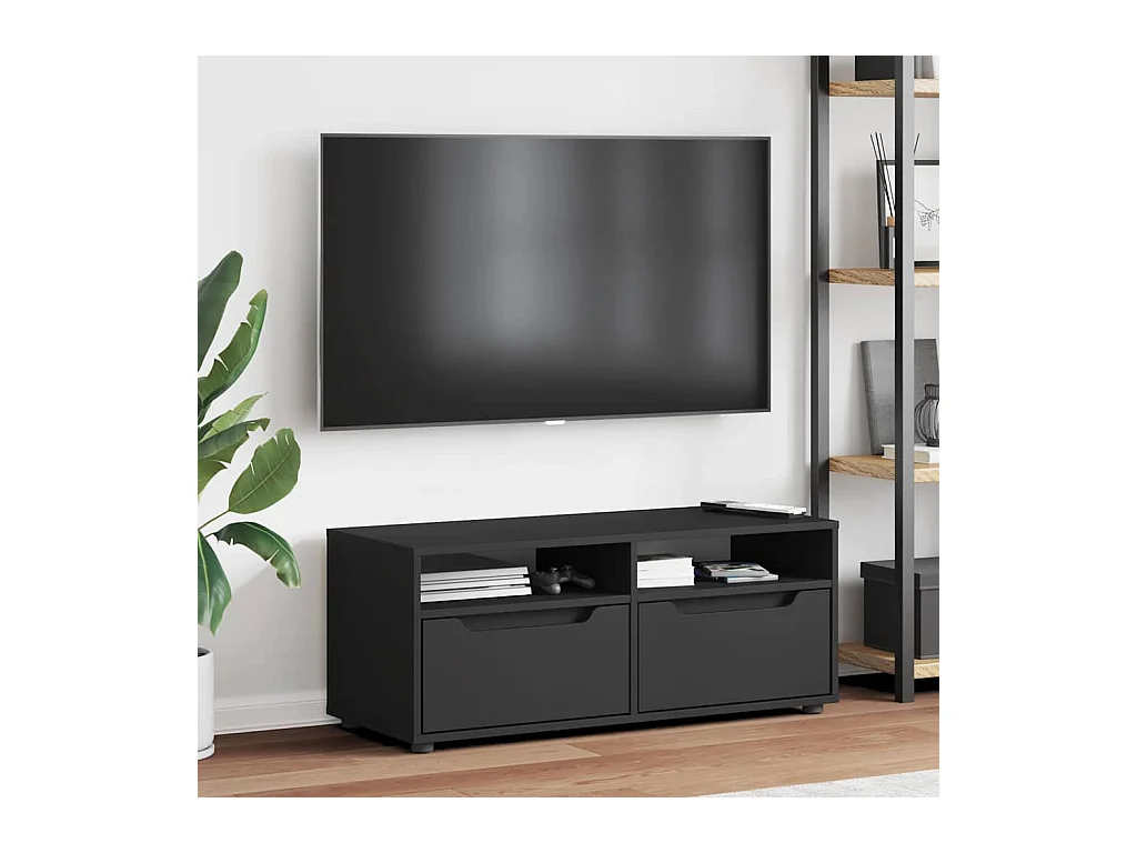 Mebel TV VISNES czarny 100x40x38 cm z 2 szufladami i 2 półkami