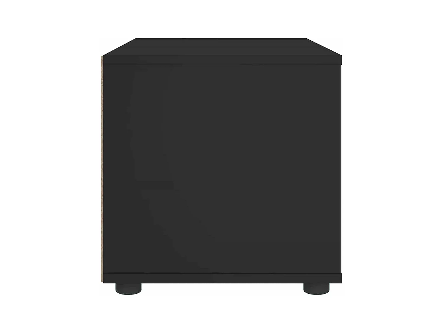 Mebel TV VISNES czarny 100x40x38 cm z 2 szufladami i 2 półkami