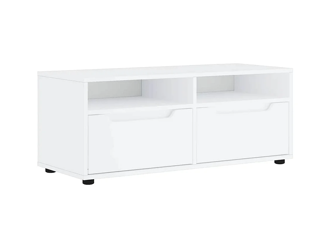 Mebel TV VISNES Biały 100x40x38 cm z Drewna Inżynieryjnego z Przechowywaniem i Montażem na Ścianie