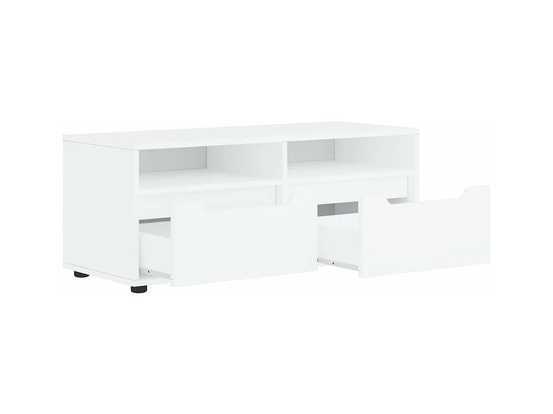 Mebel TV VISNES Biały 100x40x38 cm z Drewna Inżynieryjnego z Przechowywaniem i Montażem na Ścianie