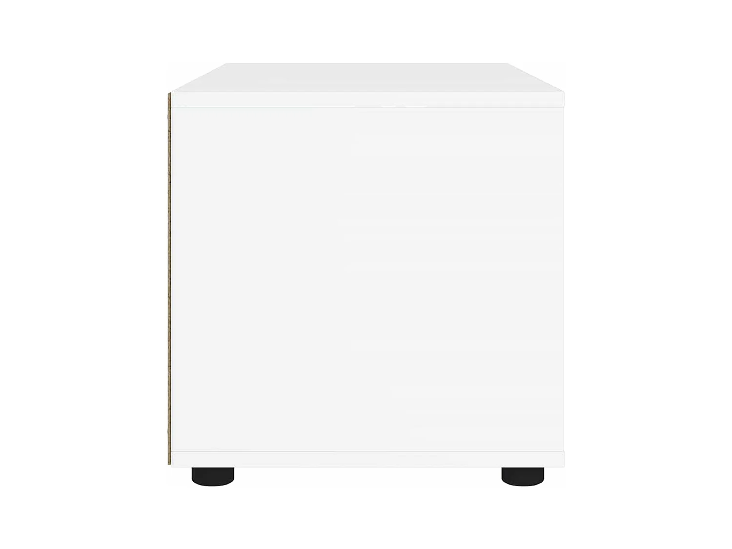 Mebel TV VISNES Biały 100x40x38 cm z Drewna Inżynieryjnego z Przechowywaniem i Montażem na Ścianie