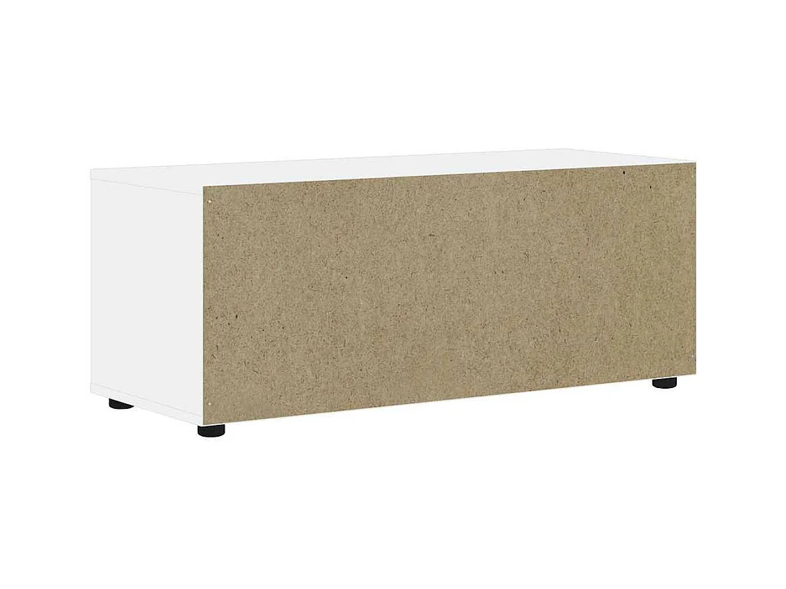 Mebel TV VISNES Biały 100x40x38 cm z Drewna Inżynieryjnego z Przechowywaniem i Montażem na Ścianie