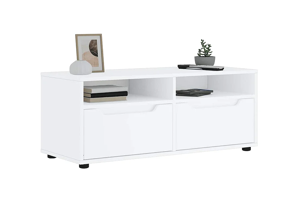 Meuble TV VISNES blanc 100x40x38 cm bois d'ingénierie