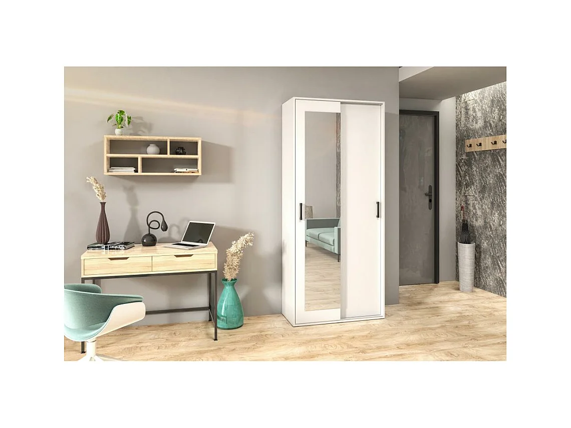 Hangkast 90/205/40 cm 2-deurs wit