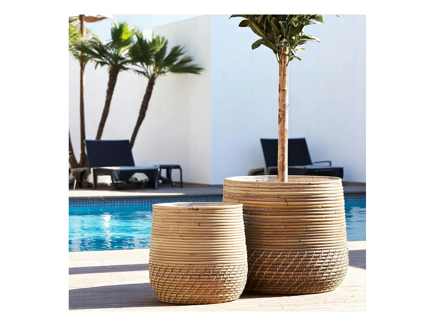 Cache-pot en rotin pour grandes plantes (lot de 2)