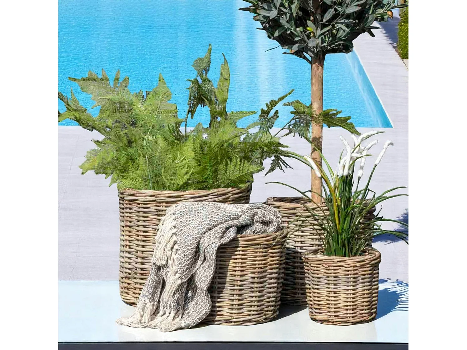 Cache-pot en rotin pour plantes vertes (lot de 4)